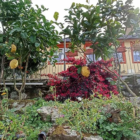 Patrizia Penzion La Spezia