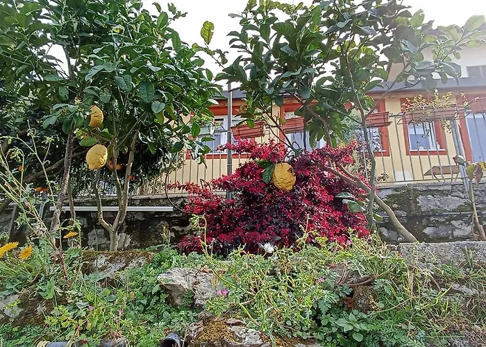 Patrizia Penzion La Spezia