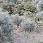 Pensjonat Patrizia La Spezia