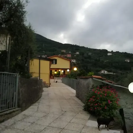 Patrizia 4*