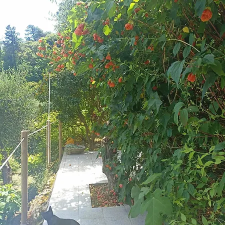 Patrizia 4* La Spezia