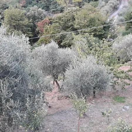 בית הארחה Patrizia לה ספציה